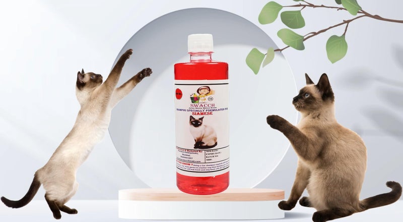 SWACCH Shampoo Specially FORMULATED for Siamese (500ML) Jasmine - Image 2