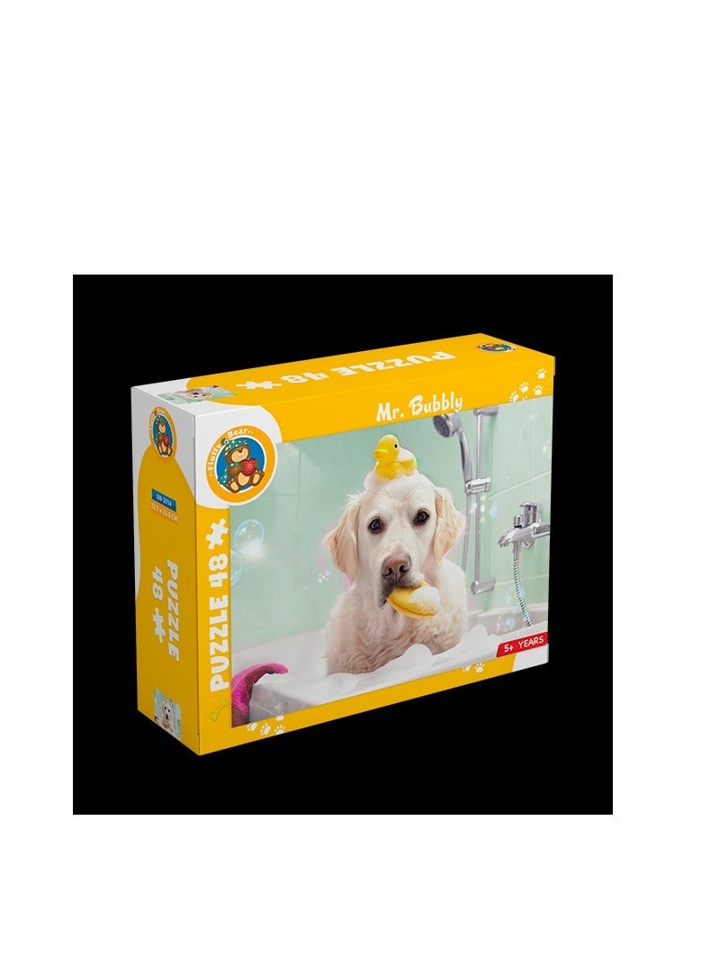 Mr. Bubbly - 48 pcs