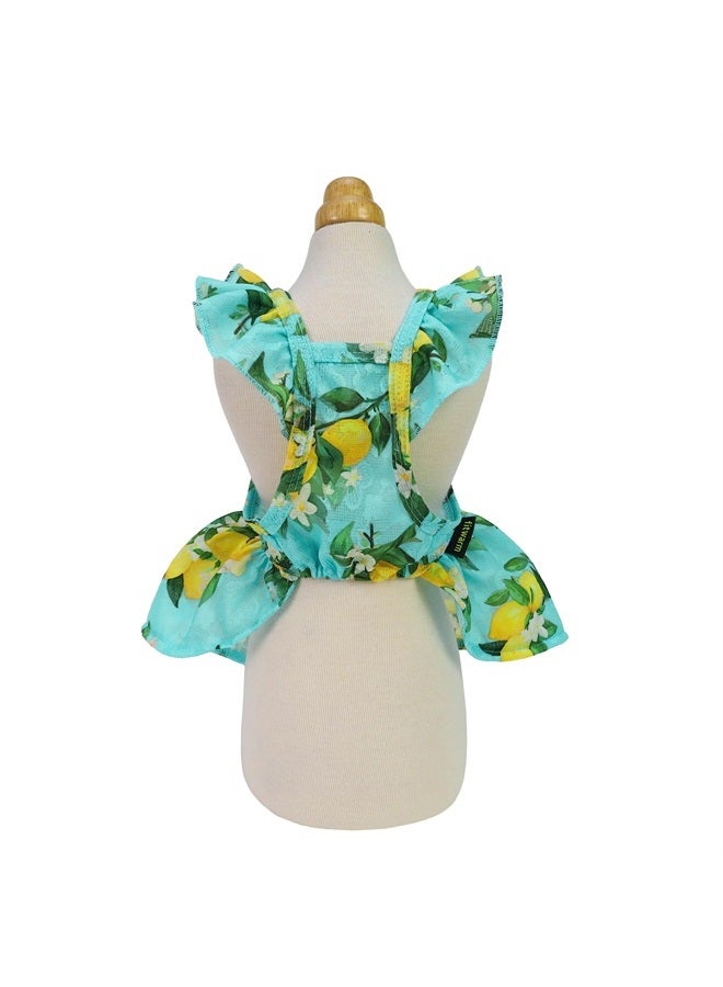 Fitwarm Lemon Dog Dress, Dog Clothes for Small Dogs Girl, Pet Cat Apparel, Teal Blue, Yellow, Green, Large - Image 1