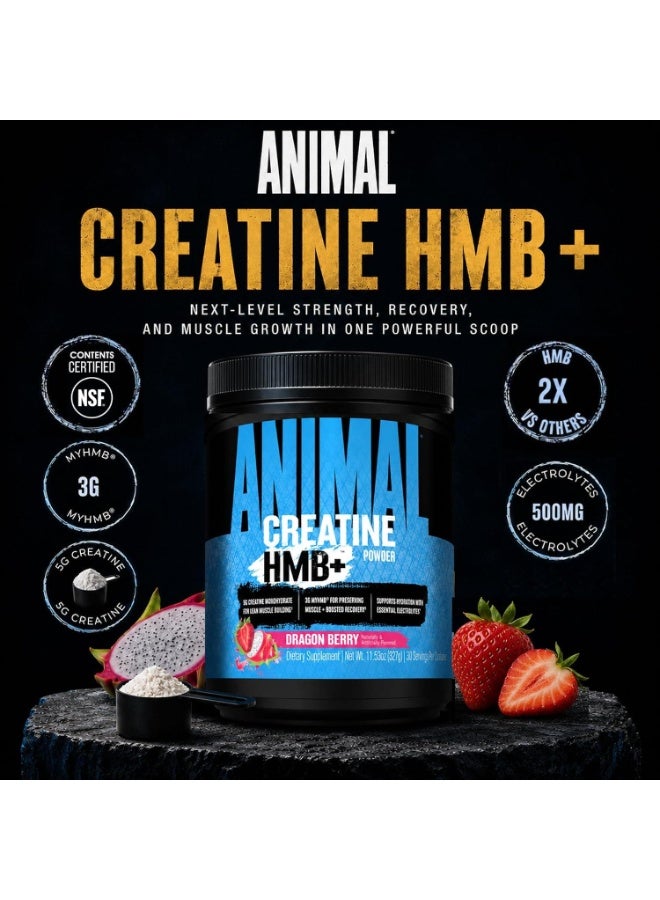 ANIMAL Universal Nutrition Animal Creatine HMB+ Powder, Dragon Berry, 327g, 5g Creatine Monohydrate + 3g myHMB, Electrolytes, 30 Servings - Image 4