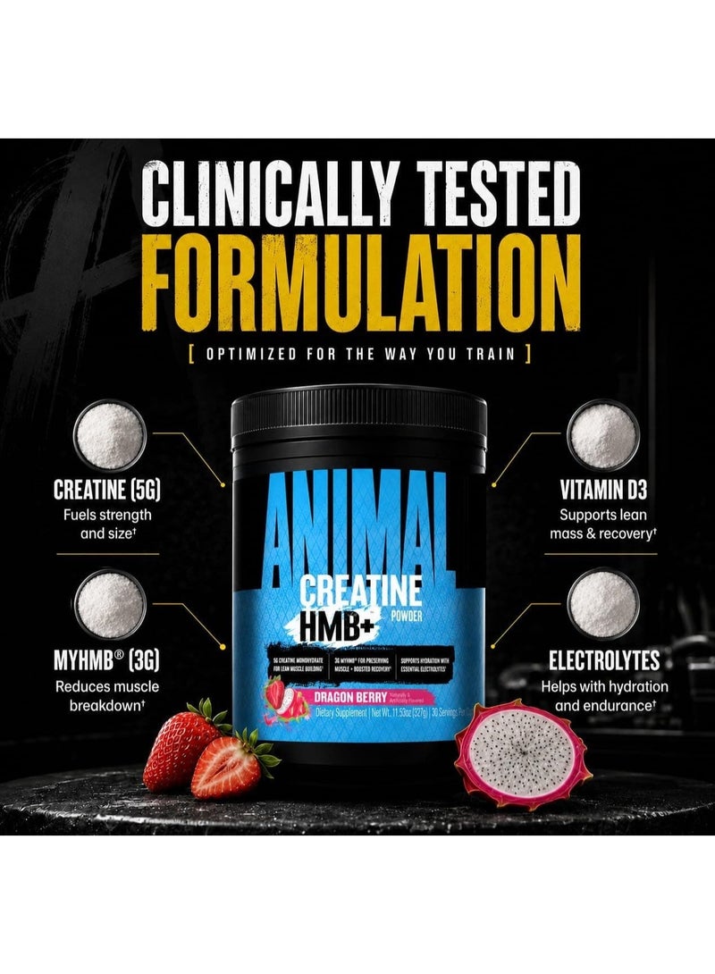 ANIMAL Universal Nutrition Animal Creatine HMB+ Powder, Dragon Berry, 327g, 5g Creatine Monohydrate + 3g myHMB, Electrolytes, 30 Servings - Image 3