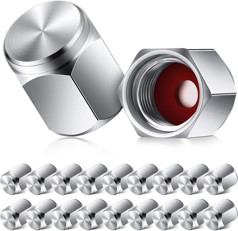 فريندا 20 Pieces Valve Stem Caps Brass Tire Valve Caps Silver Hexagon Shape Dust Proof Covers with Rubber O Ring for Car Truck Motorcycles Bike and Bicycle, Silver - Image 1
