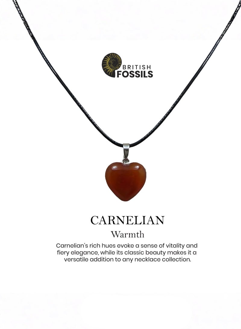 British Fossils Natures Gift Necklace Carnelian - Image 4