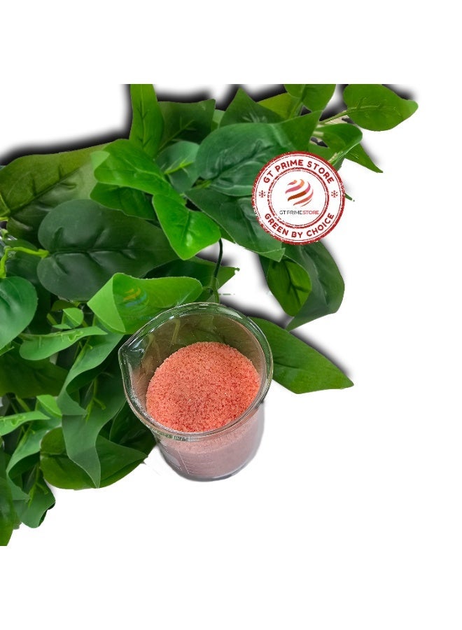 (N)PREMIUM NPK 20 20 20 All Purpose Fertilizer for Outdoor and Indoor Plants 500g Water Soluble, (Best choice for use in the GCC) - Image 3