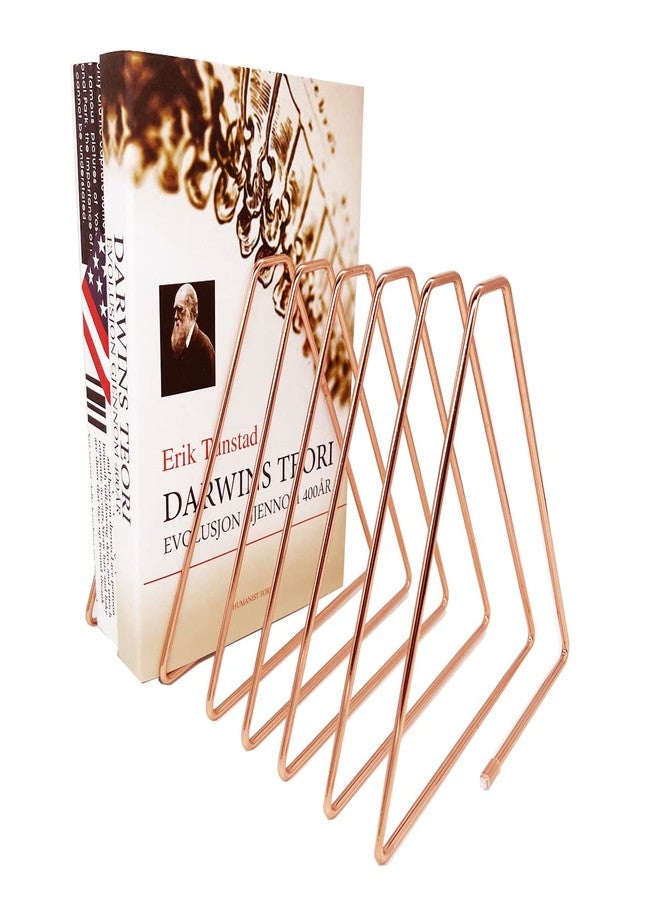 JIARI Decorative Book Organizer Magazine Holder, Desktop File Sorter Organizer Bookshelf Bookends Book End, Telescopic Metal Bookend 7 Section (Rose Gold) - Image 1