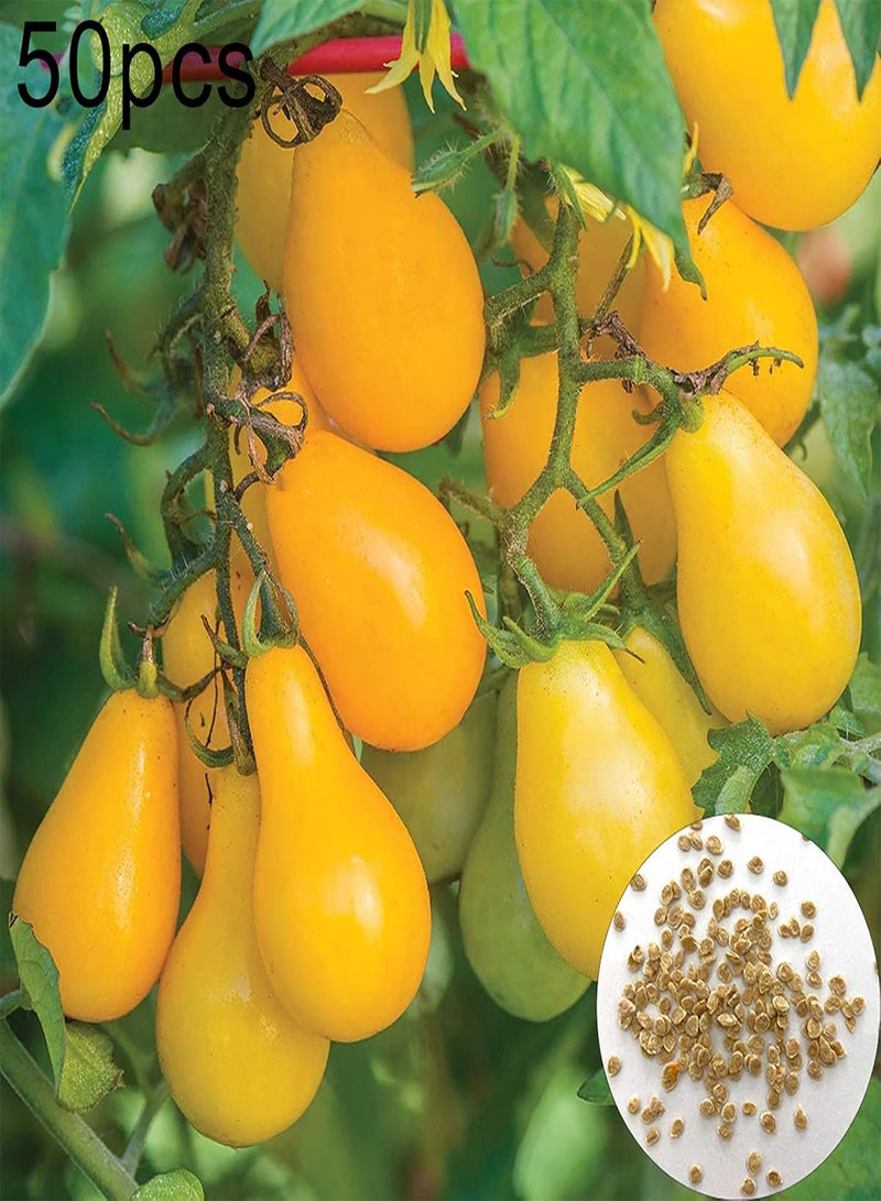 GGOOT 50Pcs Yellow Pear Tomato Seeds Garden Delicious Vegetable Seeds Non-GMO Fresh Garden Seeds Tomato Seeds - Image 2