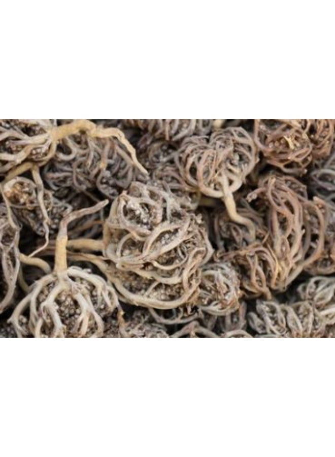 Premium Maryam Booti 100gm - Image 2