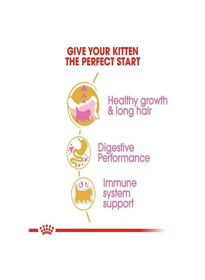 رويال كانين طعام رويال كانين للقطط الفارسية الصغيرة، طعام جاف، يدعم النمو الصحي والشعر الطويل، صحة الجهاز الهضمي، يعزز صحة الجهاز المناعي، 2 كجم - Image 2