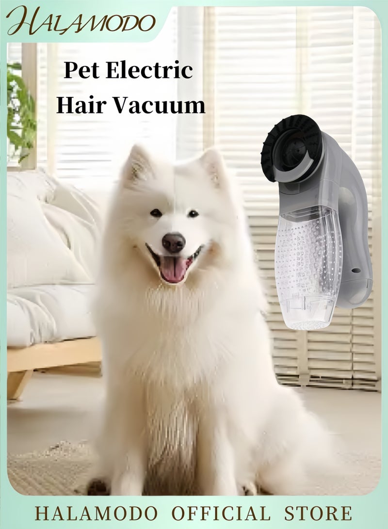 HALAMODO Electric Pet Hair Cleaner Portable Cleaning Massager Vacuum Cleaner for Indoor Cleaning Compact Grooming Device for Cat & Dog - Image 1