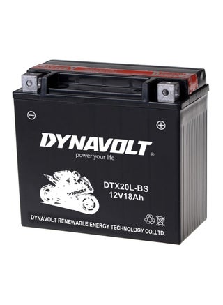 Motorcycle Battery DTX20L-BS (YTX20L-BS) Maintenance Free Dry Charged Battery With Acid Pack 12V-18Ah - pzsku/Z1AC2896B5B6FDD9658CFZ/45/_/1673453695/9263a93e-dc1d-4173-94e4-2cfa3965dda6