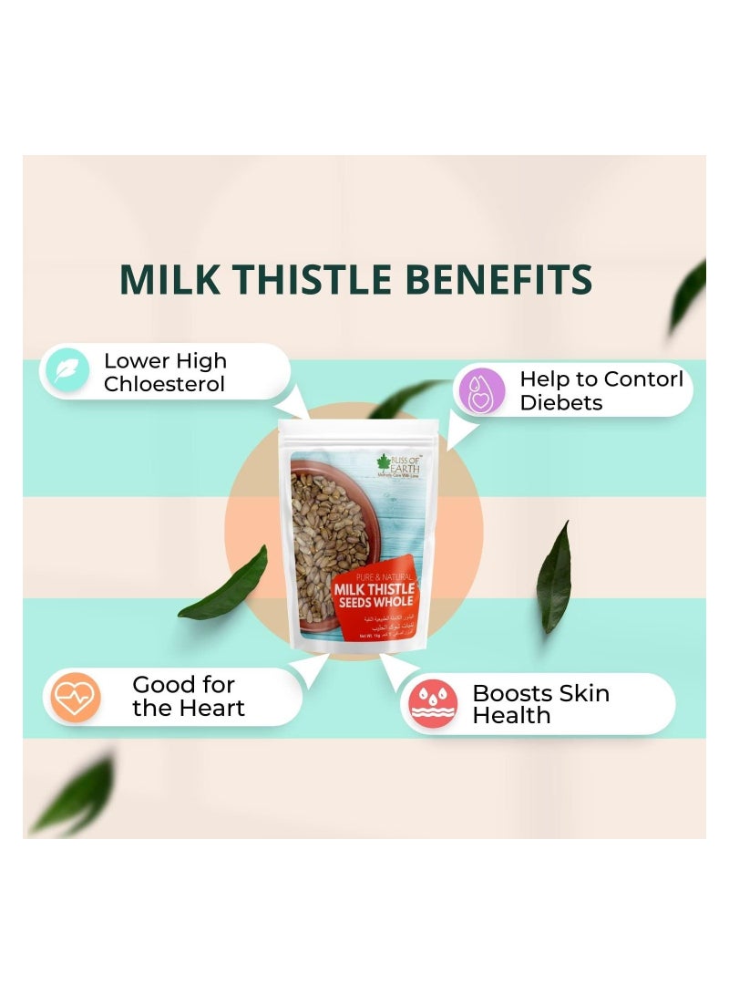 BLISS OF EARTH Milk Thistle Seeds Organic Super Food for Liver Cleansing, Immunity Booster Milk thistle Tea 500gm Pack of 2 - Image 3