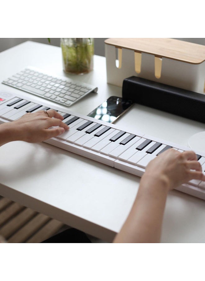 61-Key Foldable Electronic Piano Multifunctional Electronic Piano Keyboard with LED Display Built-in Rechargeable Battery Portable Musical Instrument Digital Piano with Carrying Bag