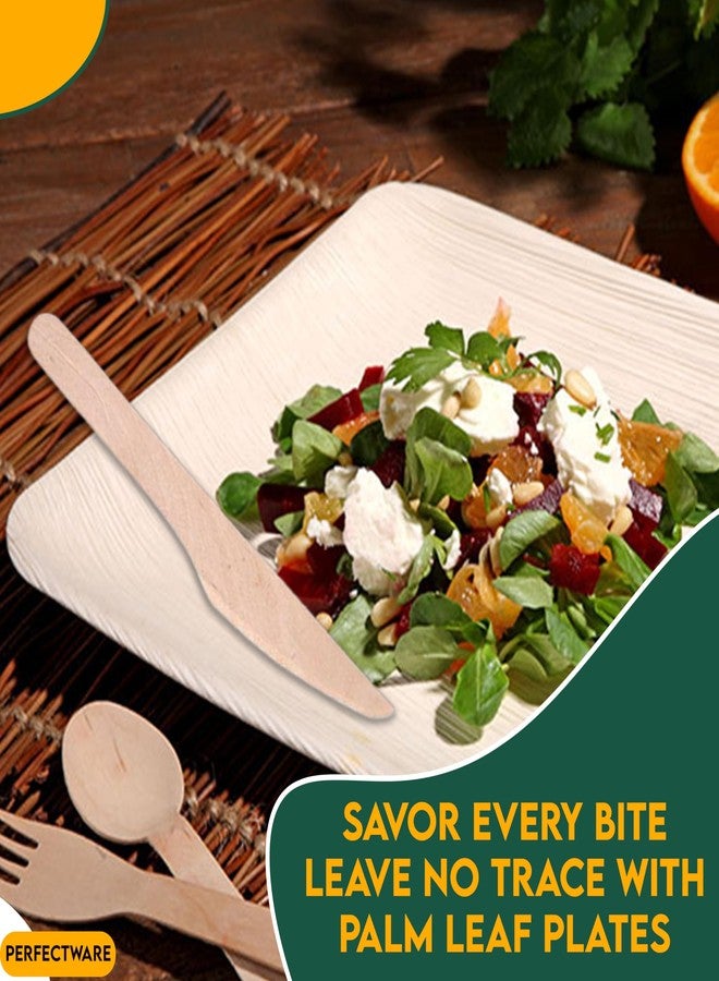 Perfectware 6 inch Square Palm Leaf Plates. Eco Friendly Dinnerware. Set of 25 Plates - Image 3