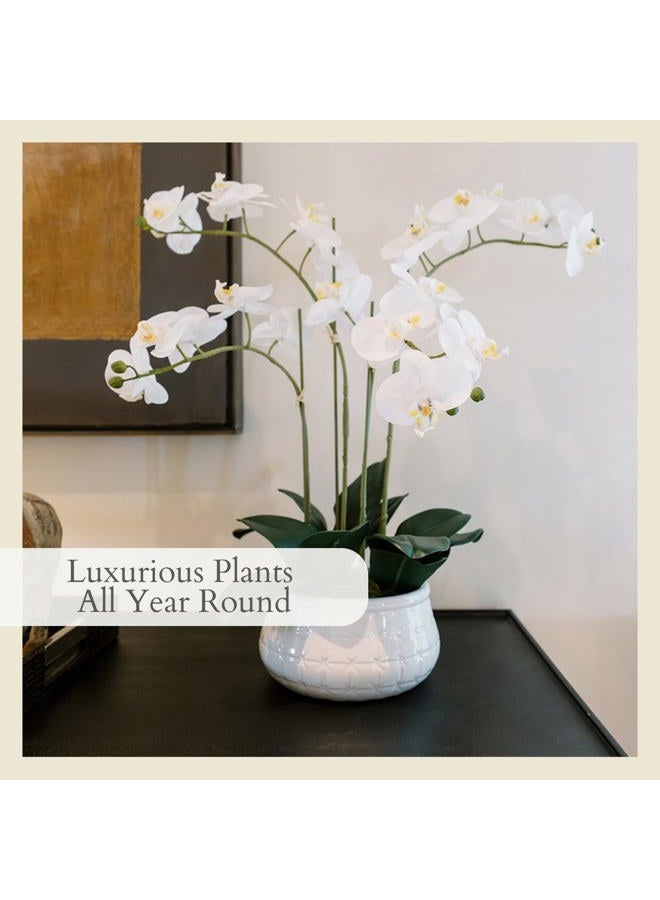 CG Hunter Faux White Orchid Plant, Premium Artificial Indoor Flower Display Stands 23”, Beautiful Sculptural Blooms That Lasts Forever, Grey Planter Pot Included - Image 4