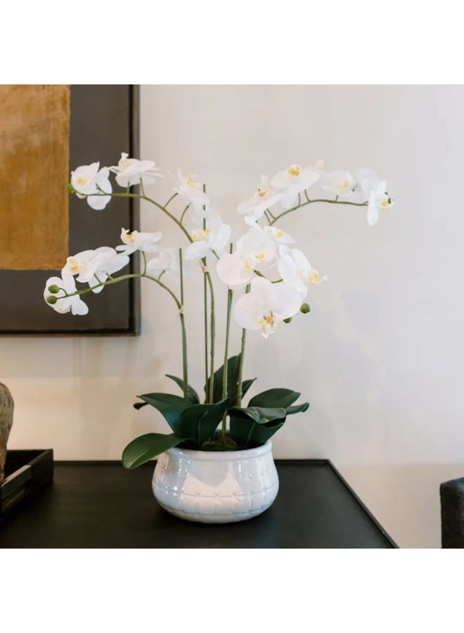 CG Hunter Faux White Orchid Plant, Premium Artificial Indoor Flower Display Stands 23”, Beautiful Sculptural Blooms That Lasts Forever, Grey Planter Pot Included - Image 1