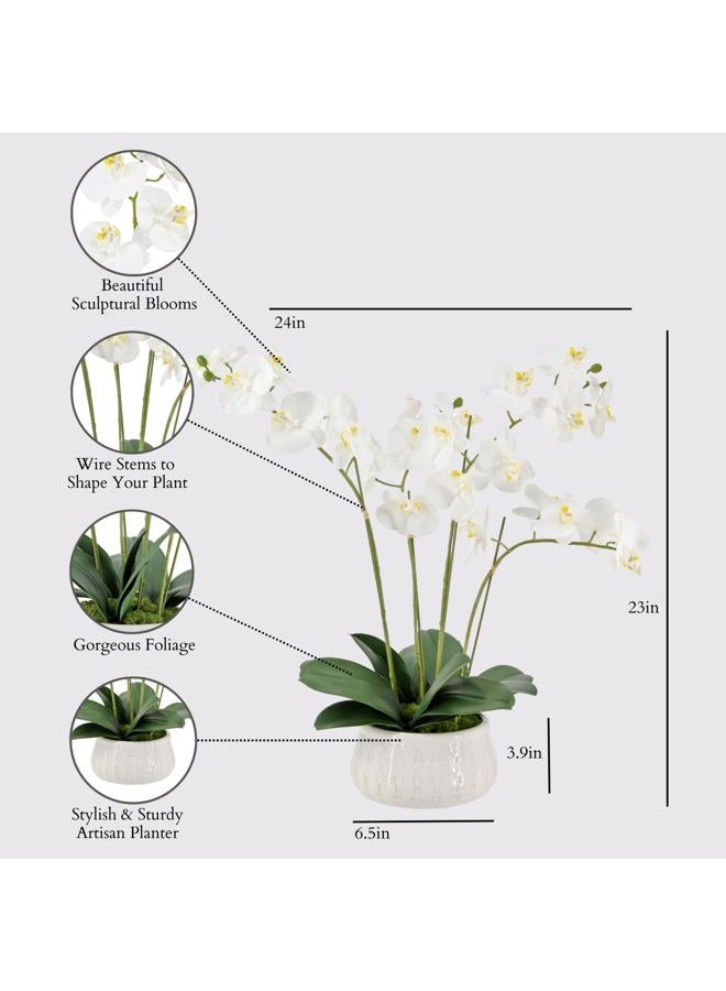 CG Hunter Faux White Orchid Plant, Premium Artificial Indoor Flower Display Stands 23”, Beautiful Sculptural Blooms That Lasts Forever, Grey Planter Pot Included - Image 2