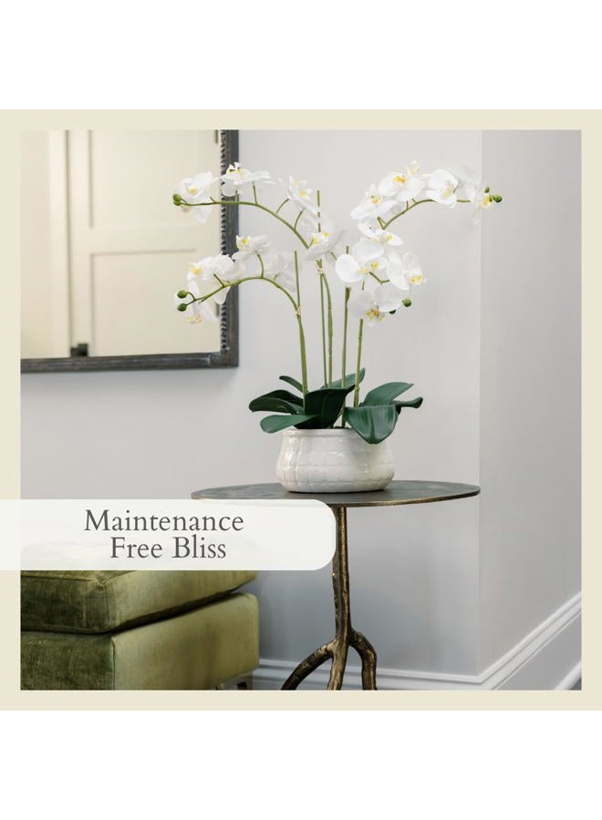 CG Hunter Faux White Orchid Plant, Premium Artificial Indoor Flower Display Stands 23”, Beautiful Sculptural Blooms That Lasts Forever, Grey Planter Pot Included - Image 5