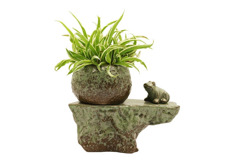 Self Watering Ceramic Pot with Plant Buddy Frog Figernie in Two Tone Patina Glaze