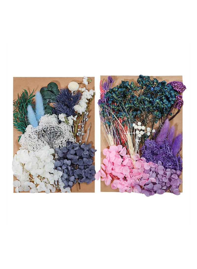 SYOSI 2 Packs Dried Flowers Bouquet, Natural Dried Flowers Real Dry Flower Set for Crafts Dried Flowers for Decoration Cakes DIY Nail Art Scrapbooks, Home Decoration Filling Materials - Image 1