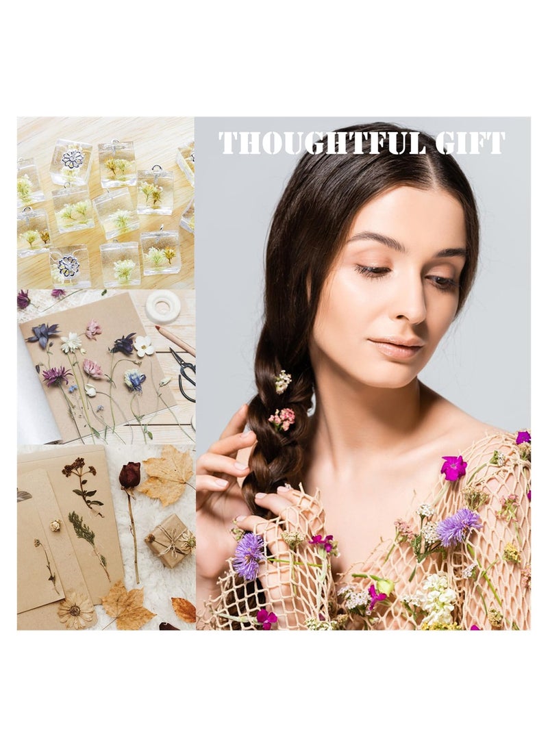 SYOSI 2 Packs Dried Flowers Bouquet, Natural Dried Flowers Real Dry Flower Set for Crafts Dried Flowers for Decoration Cakes DIY Nail Art Scrapbooks, Home Decoration Filling Materials - Image 3