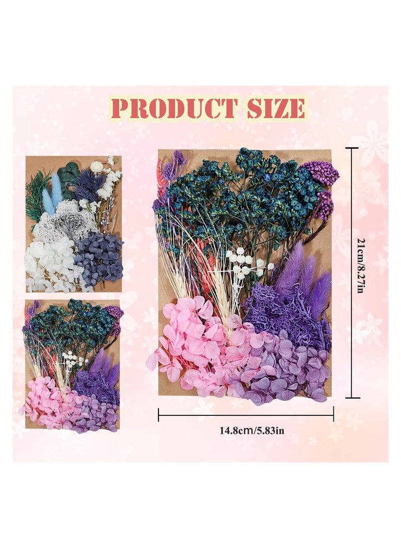 SYOSI 2 Packs Dried Flowers Bouquet, Natural Dried Flowers Real Dry Flower Set for Crafts Dried Flowers for Decoration Cakes DIY Nail Art Scrapbooks, Home Decoration Filling Materials - Image 2