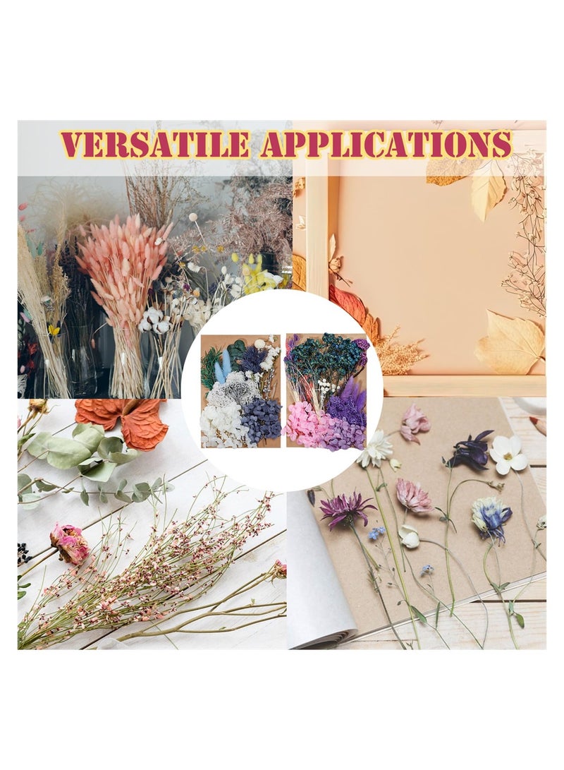 SYOSI 2 Packs Dried Flowers Bouquet, Natural Dried Flowers Real Dry Flower Set for Crafts Dried Flowers for Decoration Cakes DIY Nail Art Scrapbooks, Home Decoration Filling Materials - Image 4