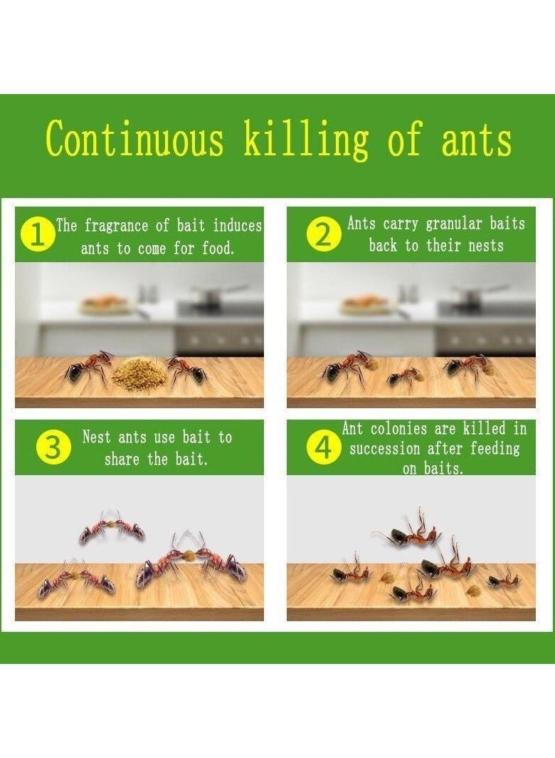 Green Leaf 10 Pcs Anti Ant Bait Powder - Image 2