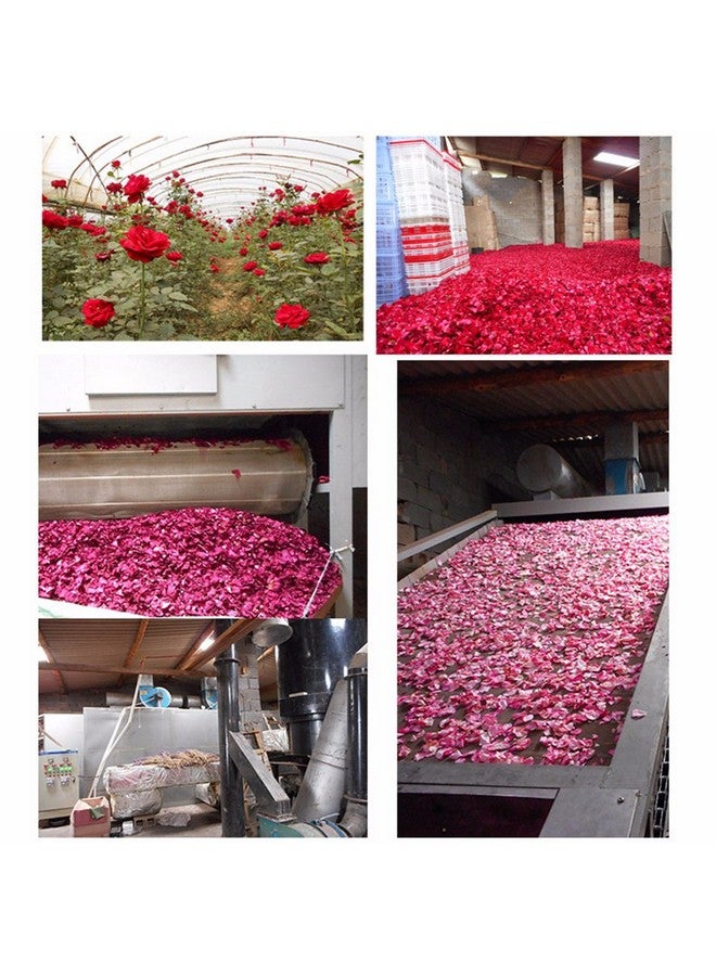 بتلات الورد الأحمر الطبيعية المجففة من ، زهور عضوية مجففة بالجملة، الأفضل لتزيين حفلات الزفاف، والحمام، وغسول الجسم، وغسول القدمين، والشاي، والخبز، والبوتبوري، والحرف اليدوية - 2 أونصة - Image 4