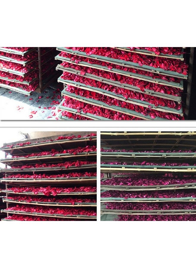 بتلات الورد الأحمر الطبيعية المجففة من ، زهور عضوية مجففة بالجملة، الأفضل لتزيين حفلات الزفاف، والحمام، وغسول الجسم، وغسول القدمين، والشاي، والخبز، والبوتبوري، والحرف اليدوية - 2 أونصة - Image 5