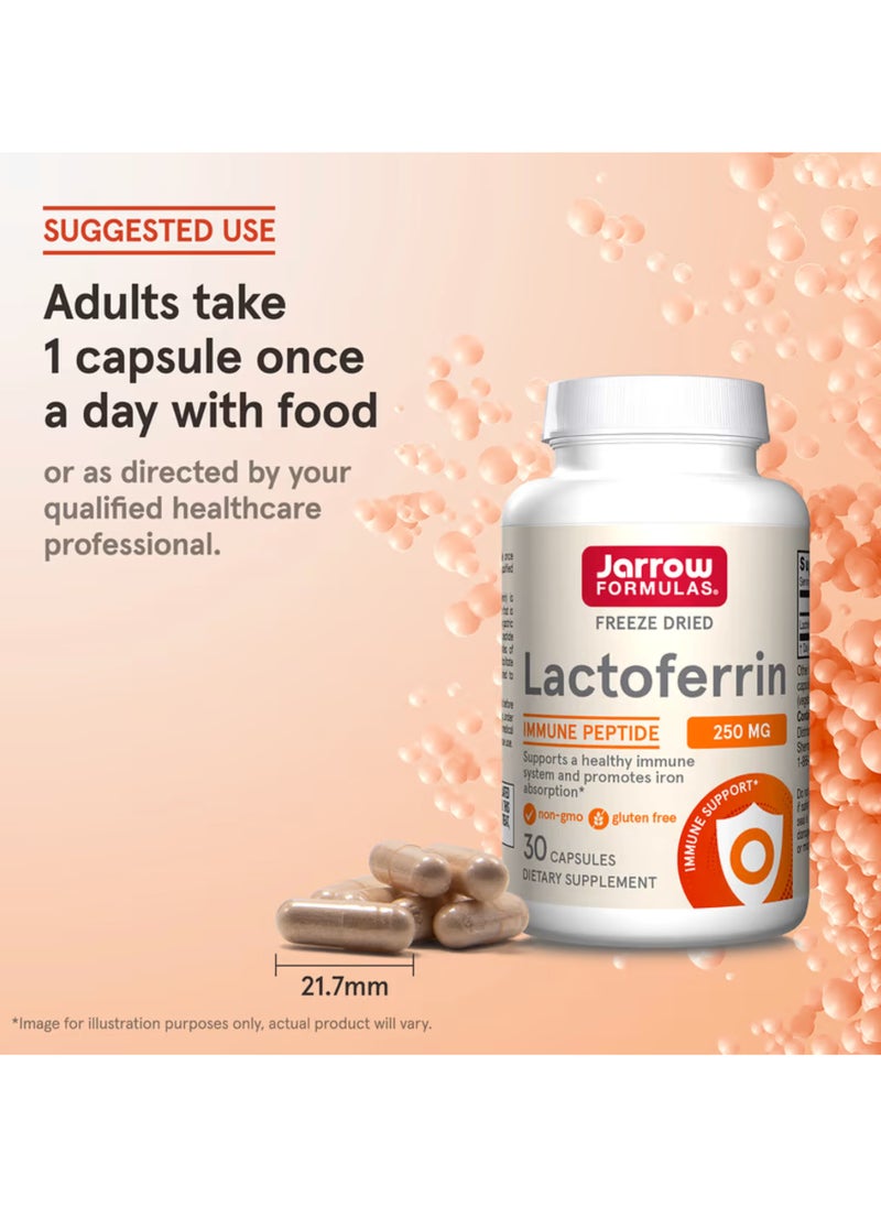 jarrow formulas Lactoferrin Freeze Dried 250 mg 30 Capsules  - Image 4