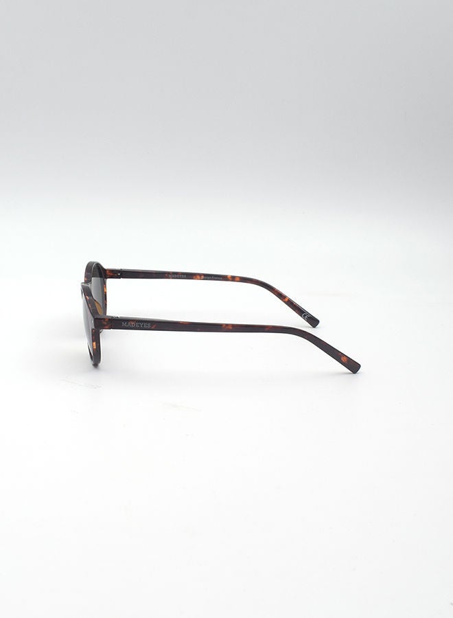 MADEYES نظارة شمسية بيضاوية EE9S358-4 - Image 2