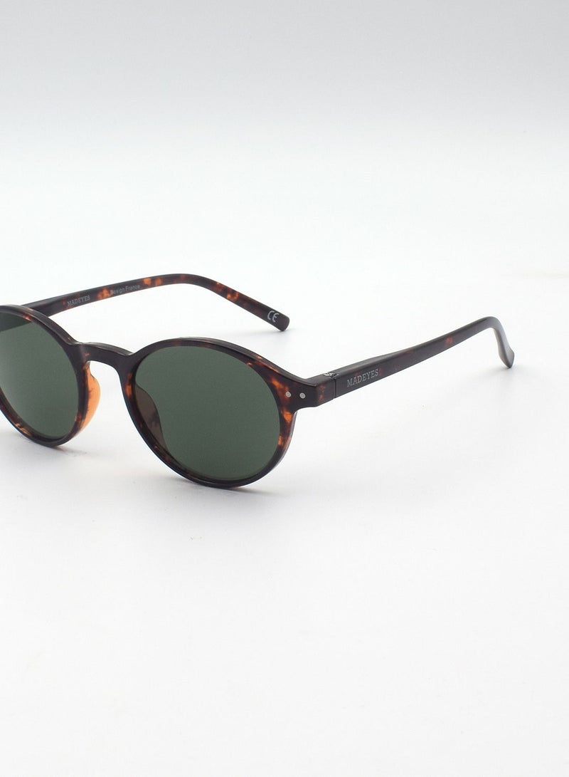 MADEYES نظارة شمسية بيضاوية EE9S358-4 - Image 4