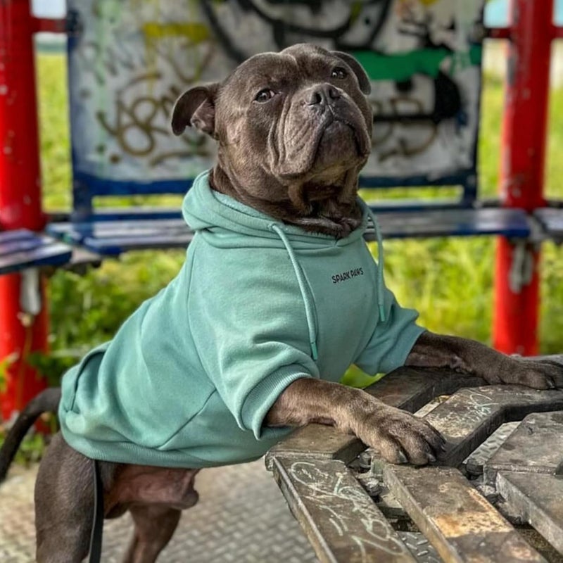 Spark Paws Dog Hoodie – Premium Dog Sweater for Small, Medium, and Large Dogs | Warm Outfits for French Bulldogs, Pitbull, Puppy, Winter Jacket Alternative - Teal - 3XL - Image 4
