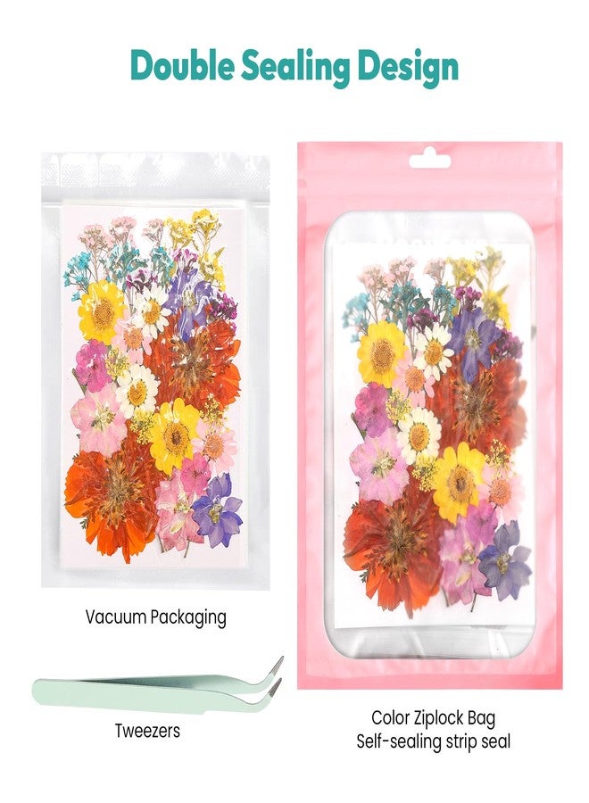 Resiners Dried Flowers, Resiners Pressed Flowers for Craft Real Natural Dried Flowers Kit for Scrapbook Supplies DIY Making Crafts Jewelry Resin Soap Candle Card Making (Pink 58pcs) - Image 4