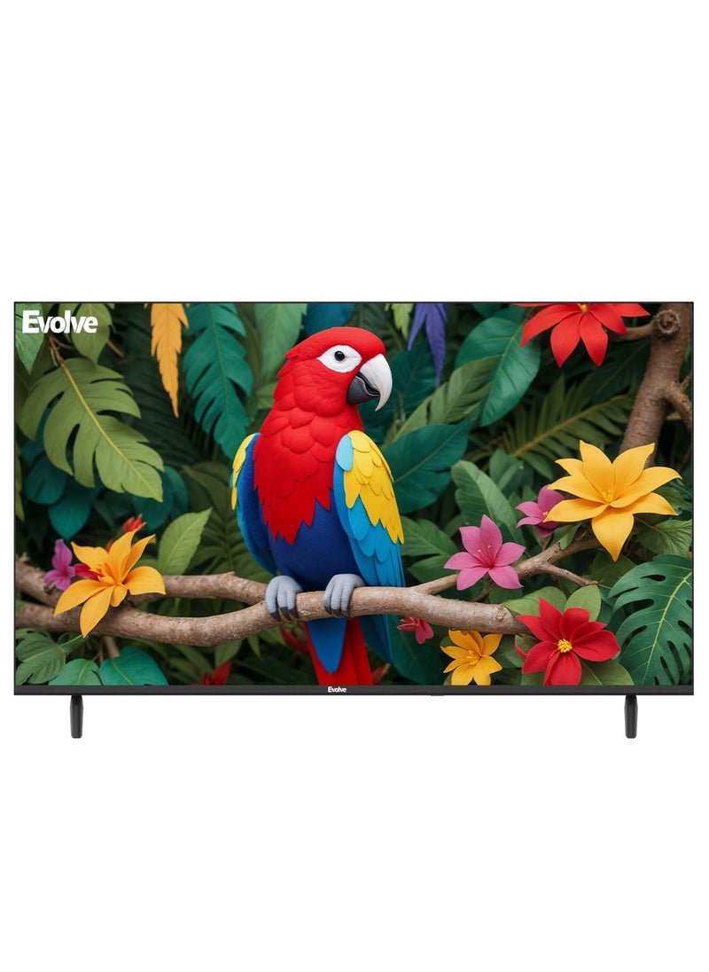 Evolve 43 Inch FHD LED Frameless TV - VLD43NA  - Image 1