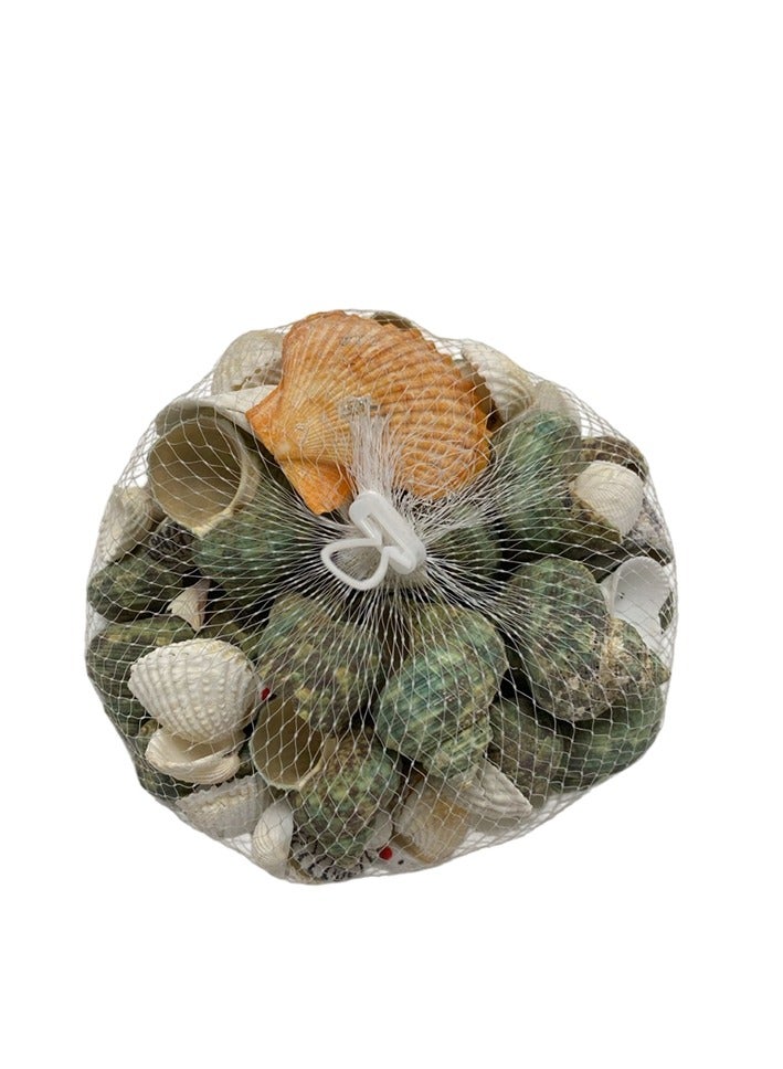 Aquarium Decoration Natural Sea Shells - Fish Tank Ornament Shell Mix for Aquascaping, Decorative Seashells for Terrariums, Hermit Crab Tanks, Flower Vases and Beach Crafts