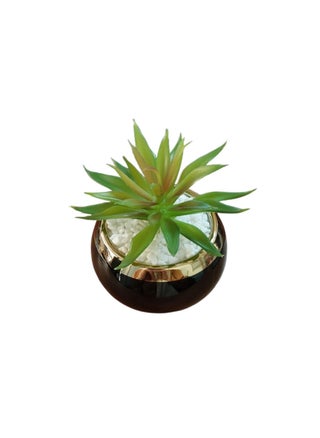 "An elegant, circular decorative vase made of black ceramic with a shiny gold finish on top. It features a green faux succulent plant surrounded by white pebbles, adding a touch of sophistication and tranquility to any office or corner of the home. - pzsku/Z1AD2BB26BA548385125EZ/45/1750343670/4646f1bf-ce57-4565-b1ea-2a74addde477