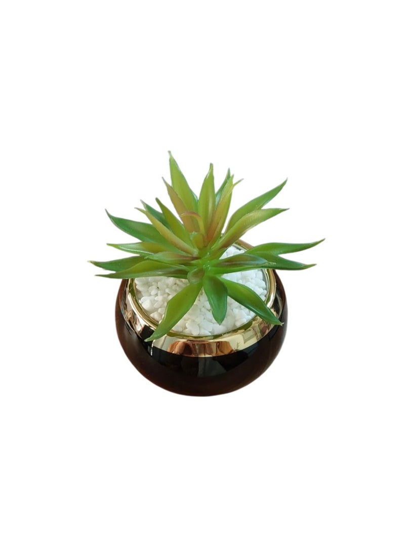 "An elegant, circular decorative vase made of black ceramic with a shiny gold finish on top. It features a green faux succulent plant surrounded by white pebbles, adding a touch of sophistication and tranquility to any office or corner of the home.