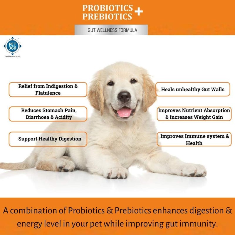 PET360 PROBIOTICS + PREBIOTICS Gut Wellness Formula for Dogs & Cats | Probiotic Supplement | Prevents Diarrhea & Indigestion | Cat & Dog Gut Health Supplement for Improved Immunity - 20 Sachets - Image 3