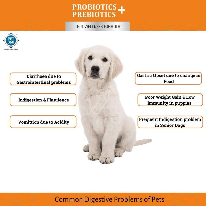 PET360 PROBIOTICS + PREBIOTICS Gut Wellness Formula for Dogs & Cats | Probiotic Supplement | Prevents Diarrhea & Indigestion | Cat & Dog Gut Health Supplement for Improved Immunity - 20 Sachets - Image 2