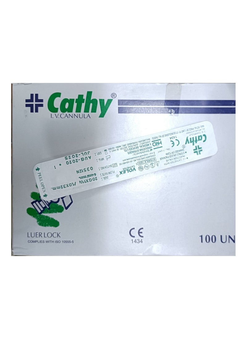 am Am Cathy Iv Canula 20-G 