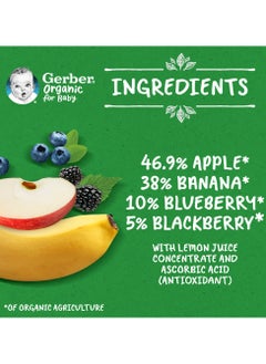 Organic Apple, Banana Blueberry And Blackberry Puree - pzsku/Z1AD392D204EAD8A69A94Z/45/_/1730795540/2c29d6a7-175a-405a-8a46-44cc65141022