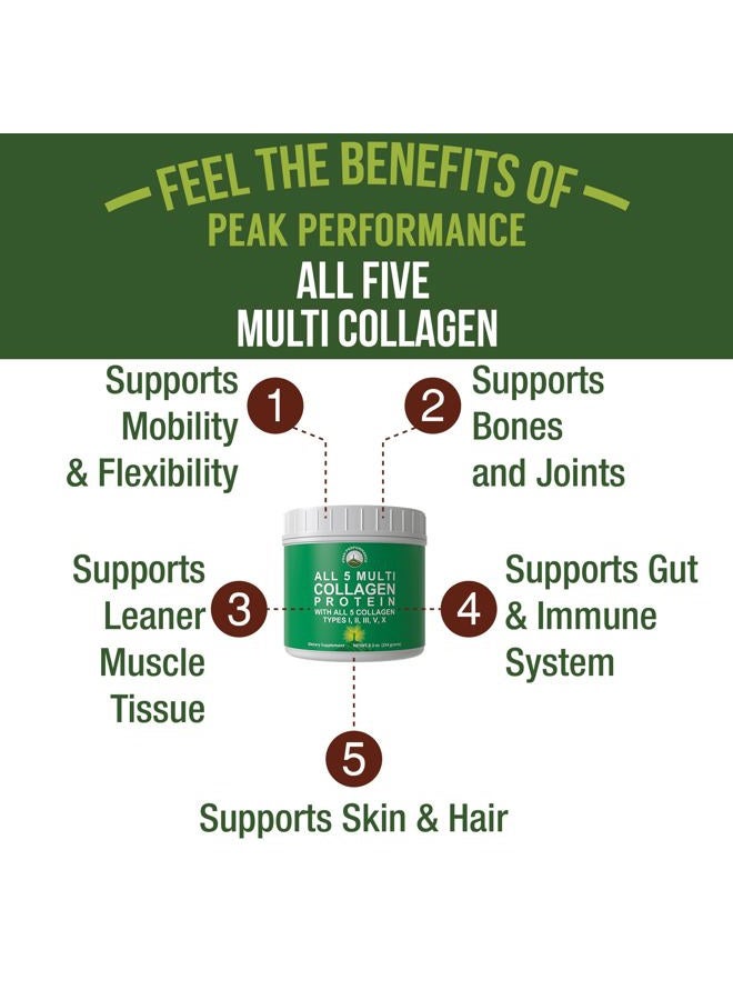 Peak Performance ALL 5 MULTI Collagen Protein Powder Peptides By Peak Performance. Multi-Collagen Contains All Types I, II, III,V, X Keto, Paleo Friendly With Hydrolyzed Bovine, Marine, Chicken, Bone Broth Collagens - Image 2