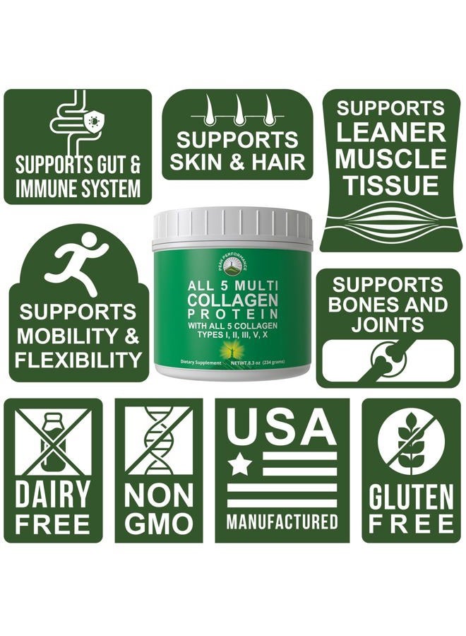 Peak Performance ALL 5 MULTI Collagen Protein Powder Peptides By Peak Performance. Multi-Collagen Contains All Types I, II, III,V, X Keto, Paleo Friendly With Hydrolyzed Bovine, Marine, Chicken, Bone Broth Collagens - Image 3