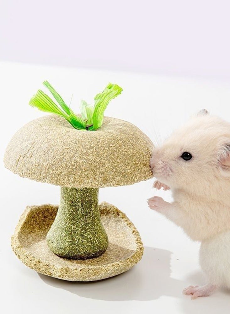 Apple Core Shape Hamster Chew Decor Toys For Small Pet Gerbils Mice Trims Rodent Teeth Smooths Claws Grinding Stone For Mouse - Image 2