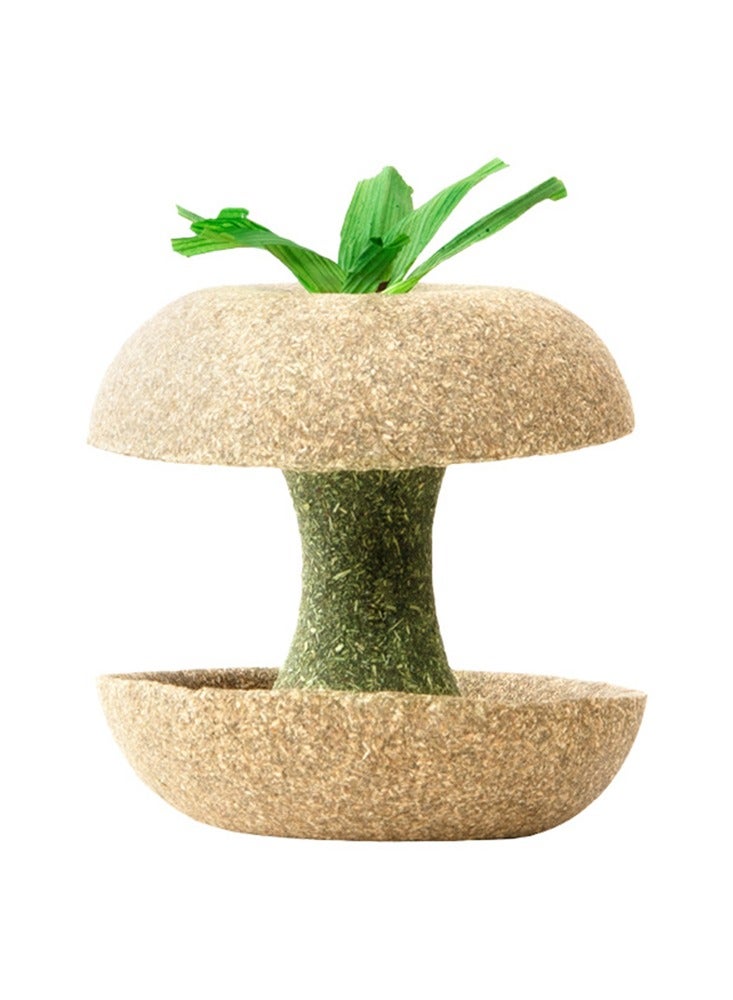 Apple Core Shape Hamster Chew Decor Toys For Small Pet Gerbils Mice Trims Rodent Teeth Smooths Claws Grinding Stone For Mouse - Image 4