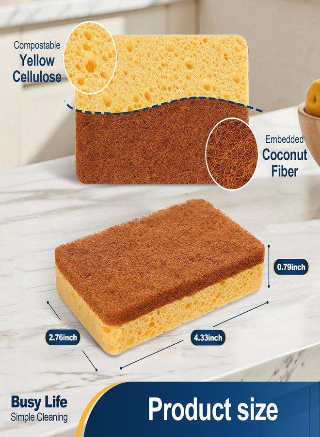 Yocada Cellulose Sponge 12 Pack Biodegradable Natural Kitchen Sponge Dual-Action Cleaning Sponge Compostable Cellulose and Coconut Walnut Non-Scratch Scrubber Sponge for Dishes Pans Pots - Image 4