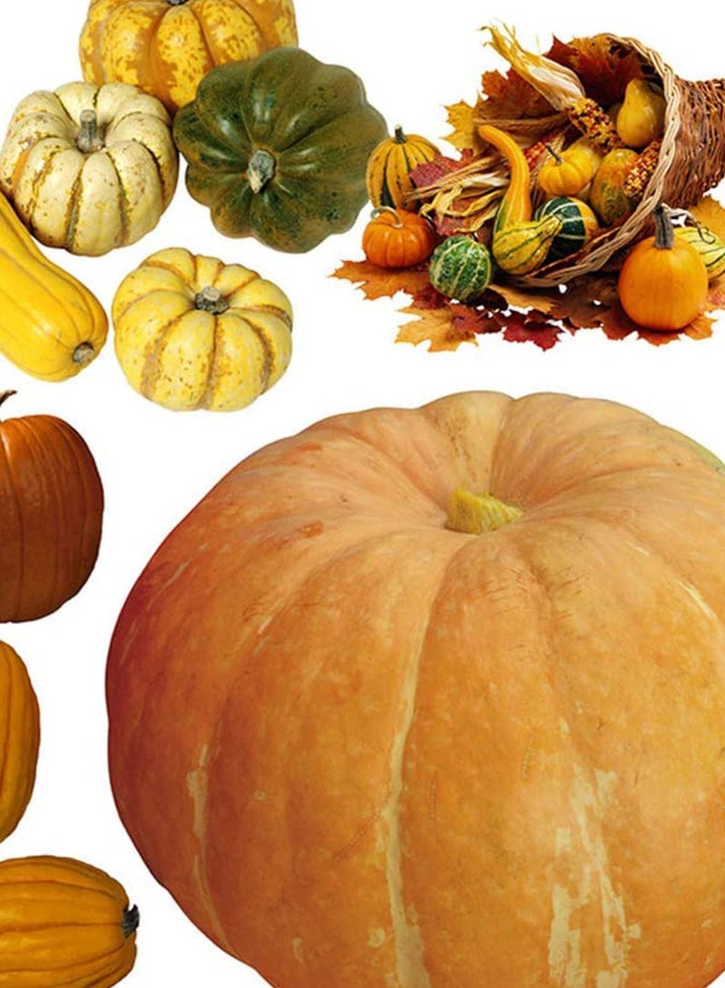 GGOOT 100pcs Mix Pumpkin Seeds Full of Nutrition Green Non-GMO Vegetables for Garden Patio  - Image 1