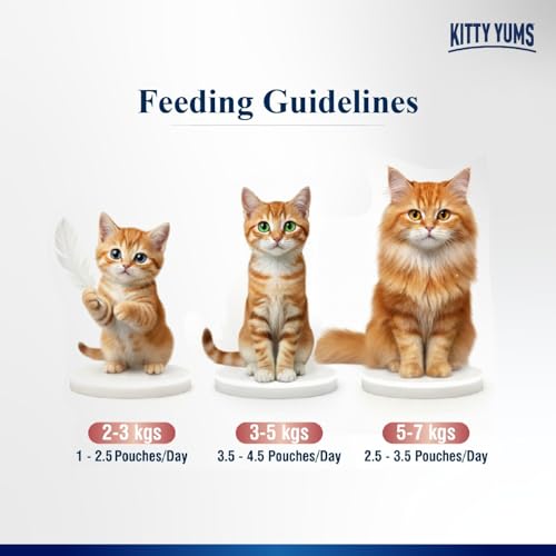 Kitty Yums Adult Cat Wet Mousse 80g | Salmon | Rich in Protein | Promotes Hydration & Easy to Digest | Grain Free | No Artificial Flavours | Packed with Essential Vitamins & Antioxidants - Image 5