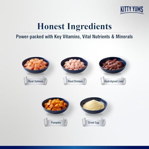Kitty Yums Adult Cat Wet Mousse 80g | Salmon | Rich in Protein | Promotes Hydration & Easy to Digest | Grain Free | No Artificial Flavours | Packed with Essential Vitamins & Antioxidants - Image 4